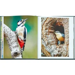 The Hidden Life of Trees Bonded Leather