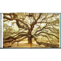 The Hidden Life of Trees Bonded Leather