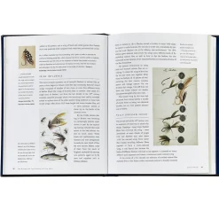 The History of Fly Fishing in Fifty Flies