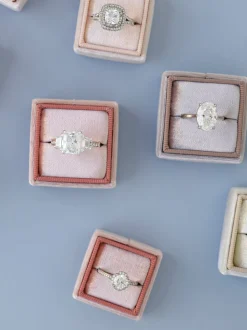 The Hope Classic Double