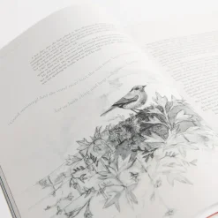 The Secret Garden Art Novel Collector's Edition