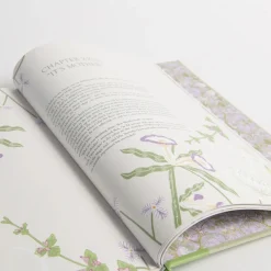 The Secret Garden Art Novel Collector's Edition