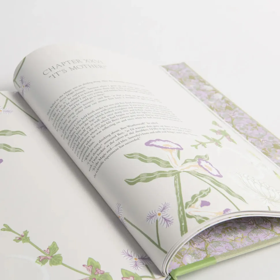 The Secret Garden Art Novel Collector's Edition