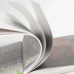 The Secret Garden Art Novel Collector's Edition