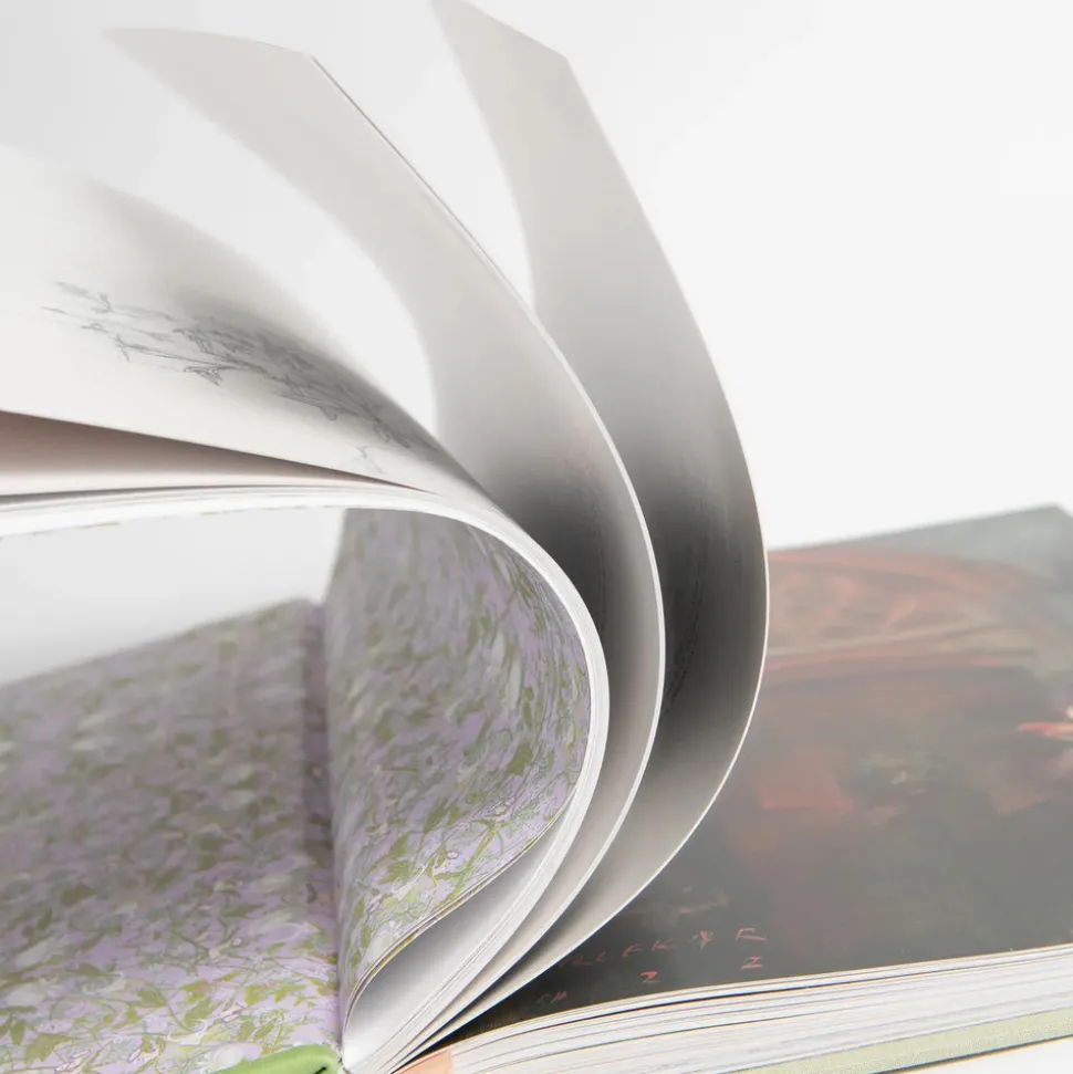 The Secret Garden Art Novel Collector's Edition