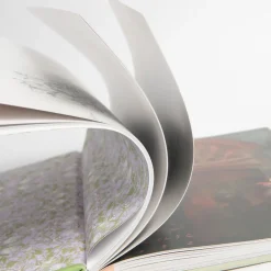 The Secret Garden Art Novel