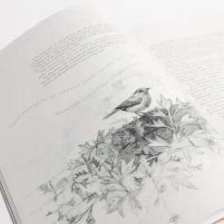 The Secret Garden Art Novel