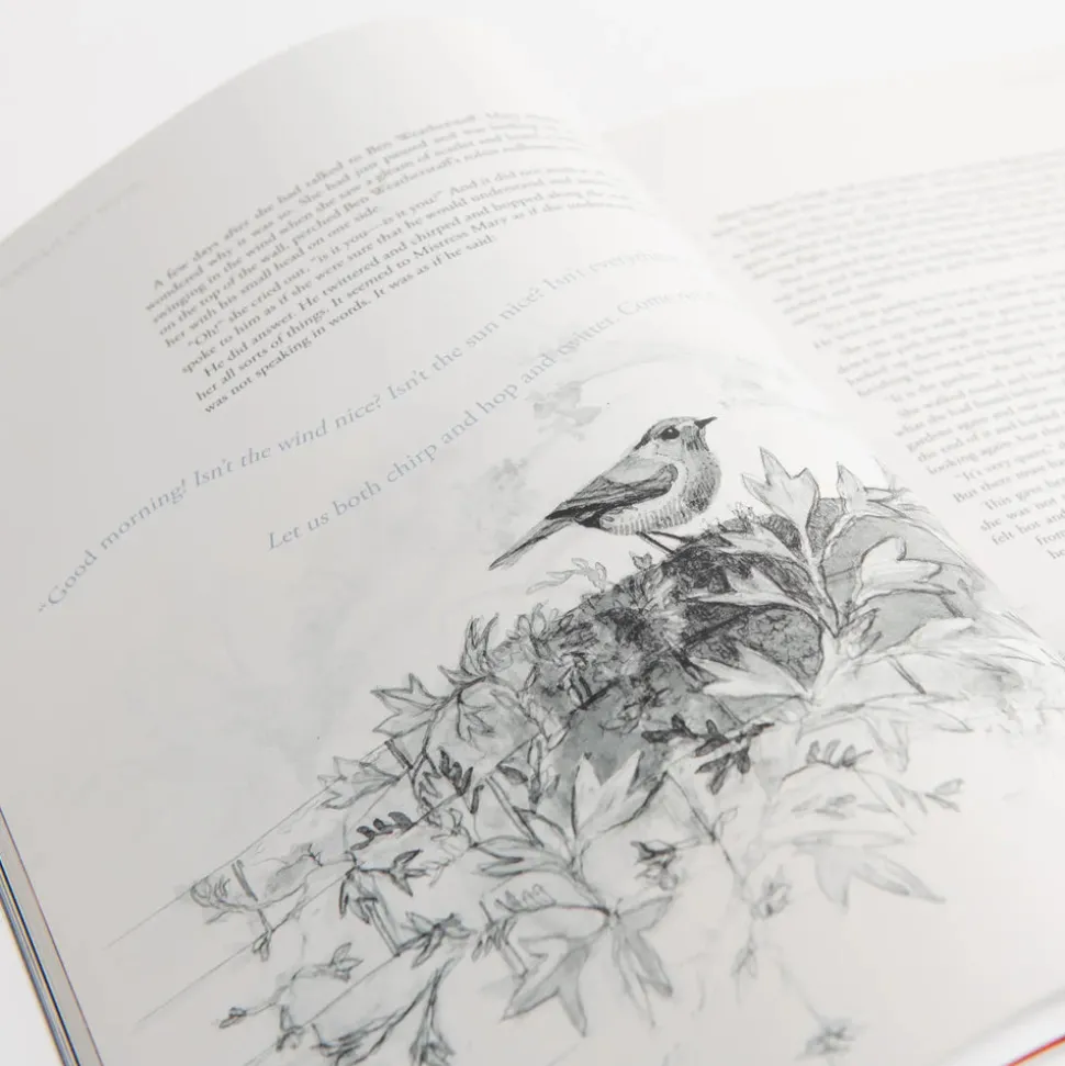 The Secret Garden Art Novel