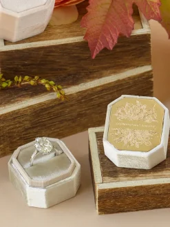 The Stella Bevel Single