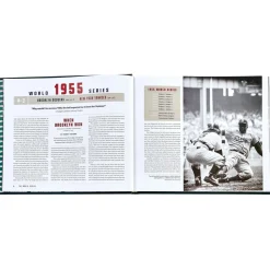 The World Series Bonded Leather