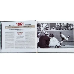 The World Series Bonded Leather