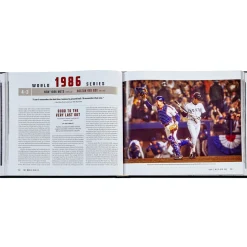 The World Series Bonded Leather