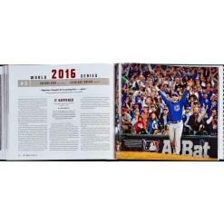 The World Series Bonded Leather