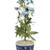 Tole Flower Potted Delphinium