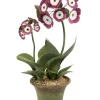 Tole Flower Standard Auricula