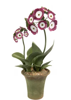 Tole Flower Standard Auricula