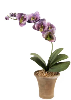 Tole Flower Standard Orchid