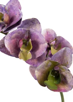 Tole Flower Standard Orchid