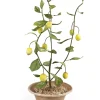 Tole Tree Lemon Tree