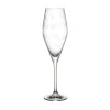 Toys Delight Stems Champagne Flute Set in Clear, Set of 2