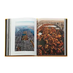 Trope New York in Yellow