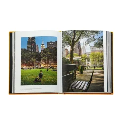 Trope New York in Yellow