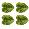 Tropicana Coasters in Green, Set of 4 in a Gift Box