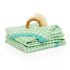 Two-Tone Gingham Towels in Lime & Aqua, Set of 2