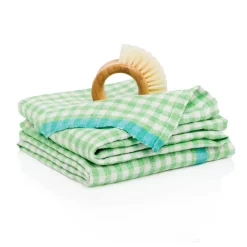 Two-Tone Gingham Towels in Lime & Aqua, Set of 2