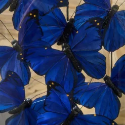 Ultramarine Butterflies in Oval Dome