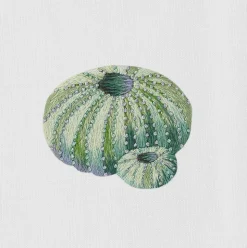 Urchin Teal Hand Towel