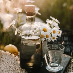 Versailles Tumbler, Set of 6