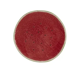 Watermelon Dinner Plate
