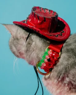 Watermelon Dog Collar
