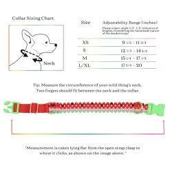 Watermelon Dog Collar