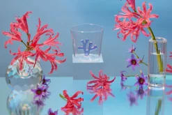 Whimsical Tumbler Glasses, Set of 4