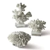 White Coral Sculptures on Glass Stand, Set of 3