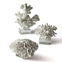 White Coral Sculptures on Glass Stand, Set of 3