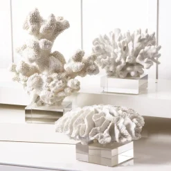 White Coral Sculptures on Glass Stand, Set of 3