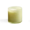 Wild Honeysuckle Classic Candle