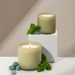 Wild Honeysuckle Classic Candle