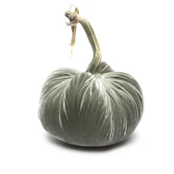 Willow Silk Velvet Pumpkin