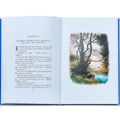 Winnie The Pooh: The Classic Edition