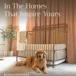 Winston 4-in-1 Convertible Crib in Vintage Gold