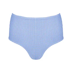 Women's Sky Blue Gingham High Waist Bikini Bottom