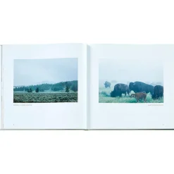 Yellowstone: A Land of Wild and Wonder Bonded Leather