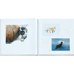 Yellowstone: A Land of Wild and Wonder Bonded Leather