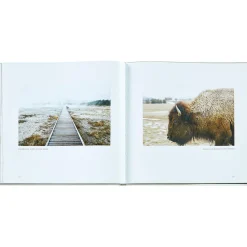 Yellowstone: A Land of Wild and Wonder Bonded Leather