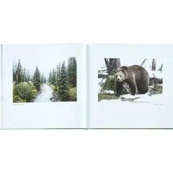Yellowstone: A Land of Wild and Wonder Bonded Leather