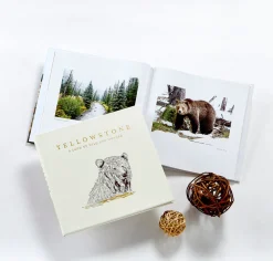 Yellowstone: A Land of Wild and Wonder Bonded Leather